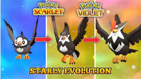 when should i evolve starly.